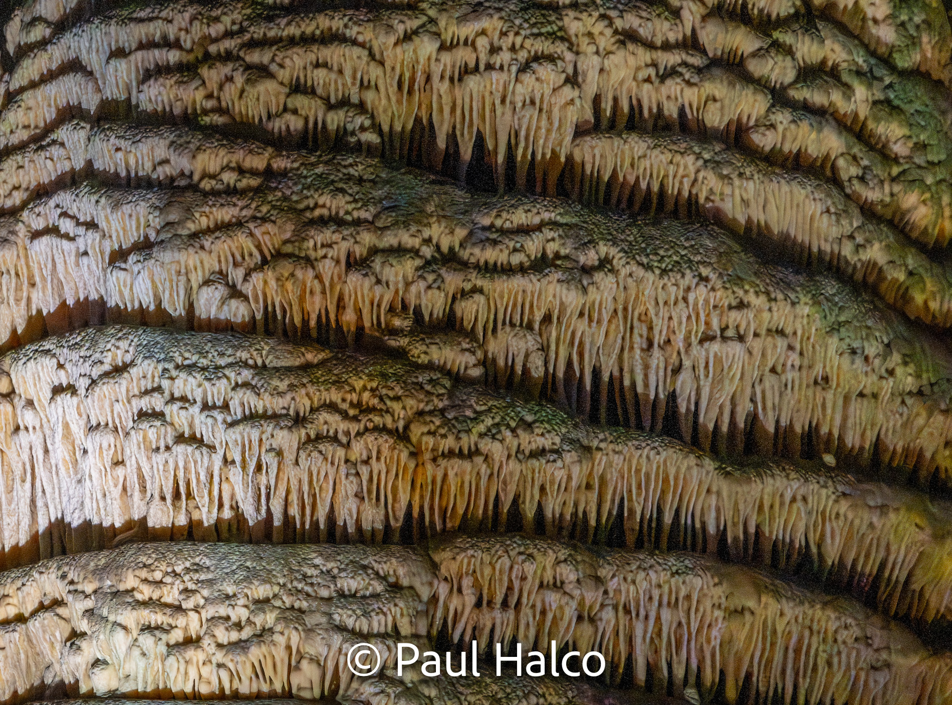 Paul Halco - Caralsbad Cavern NP-14